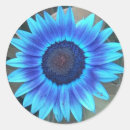 Search for perspective stickers Garden