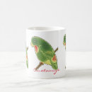 Search for green parakeet mugs Parrot