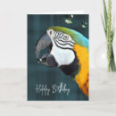 Search for macaw birthday cards Parrot