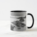 Search for central coast mugs Beach