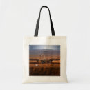 Search for lander bags Areology
