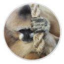 Search for monkey knobs and pulls Primate