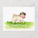 Search for dog grooming promotion flyers Promotional