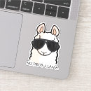 Search for white llama stickers Funny