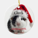 Search for guinea pig christmas tree decorations Santa
