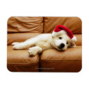 Search for sofa christmas cards Full length