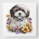 Search for shih tzu clocks Flowers