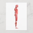 Search for biomedical postcards White background