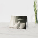 Search for dove blank cards Bird