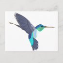 Search for tiny birds postcards Hummingbird