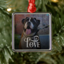 Search for boxer christmas tree decorations Dog