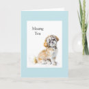 Search for shih cards Pet