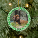 Search for hunter christmas tree decorations Pet