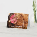 Search for poultry cards Chickens