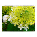 Search for hydrangea calendars Nature