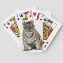 Search for tiger playing cards Animal