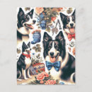 Search for border collie postcards Cute