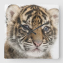 Search for sumatran art Animals