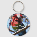 Search for colourful parrot key rings Pet