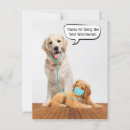Search for vet thank you cards Doctor