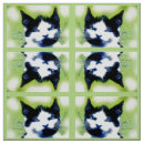 Search for cat face fabric Modern