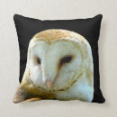 Search for barn owl cushions Birds of prey