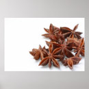 Search for anise posters Spice