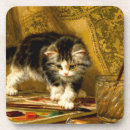 Search for funny cat coasters Kitten