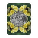 Search for beetle magnets Floral