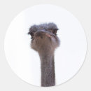 Search for funny ostrich stickers Portrait