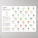 Search for nutrition health posters Vegetarian