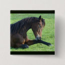 Search for grass badges Equine