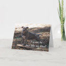 Search for my pitbull cards Dog