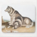 Search for cani mouse mats Mammal
