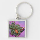 Search for fish viewing key rings High angle view