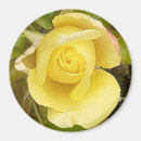 Search for rose designs magnets Blossoms