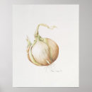 Search for 1993 posters Vegetable botanical