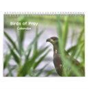 Search for bald eagle calendars Birds of prey