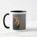 Search for roaring lion mugs Wildlife
