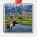 Search for rocky mountain christmas tree decorations Deer