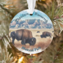 Search for bison christmas tree decorations Travel