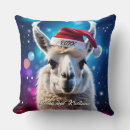 Search for funny llama cushions Colourful