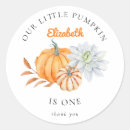 Search for 1st birthday pumpkin stickers Turning one