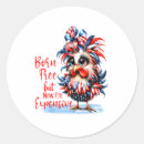 Search for expensive stickers Usa pride