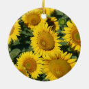 Search for kansas christmas tree decorations Sunflowers