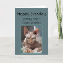 Search for mean birthday cards Cat