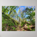 Search for lush green art Forest