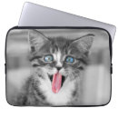 Search for funny computer photography Cat