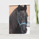 Search for percheron cards Black
