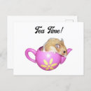 Search for cute hamsters postcards Animal